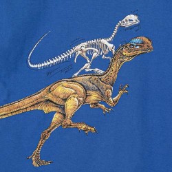 Remera nene dinos Ruabel