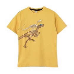 Remera nene dinos Ruabel