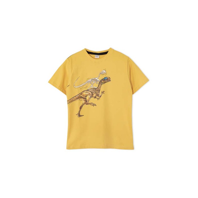 Remera nene dinos Ruabel