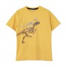 Remera nene dinos Ruabel